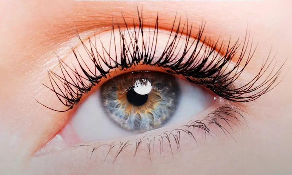 بهترین سالن&zwnj;های تخصصی لمینت مژه