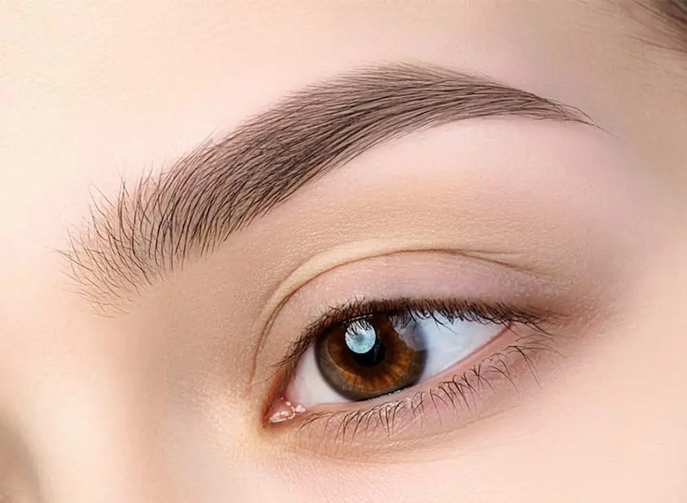 سالنهای زیبایی با خدمات تخصصی طراحی ابرو | میکروبلیدینگ، لمینت و تاتو ابرو